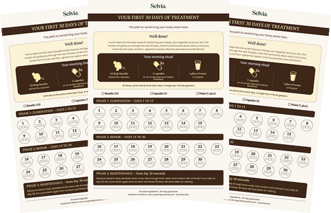 Habit Tracker Selvia
